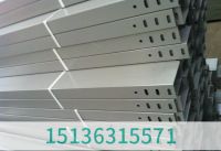 不銹鋼橋架